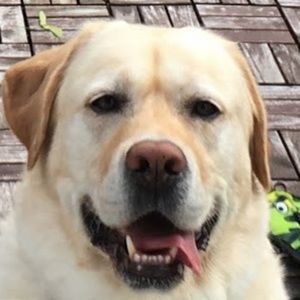 Meet your Posher, Ernie